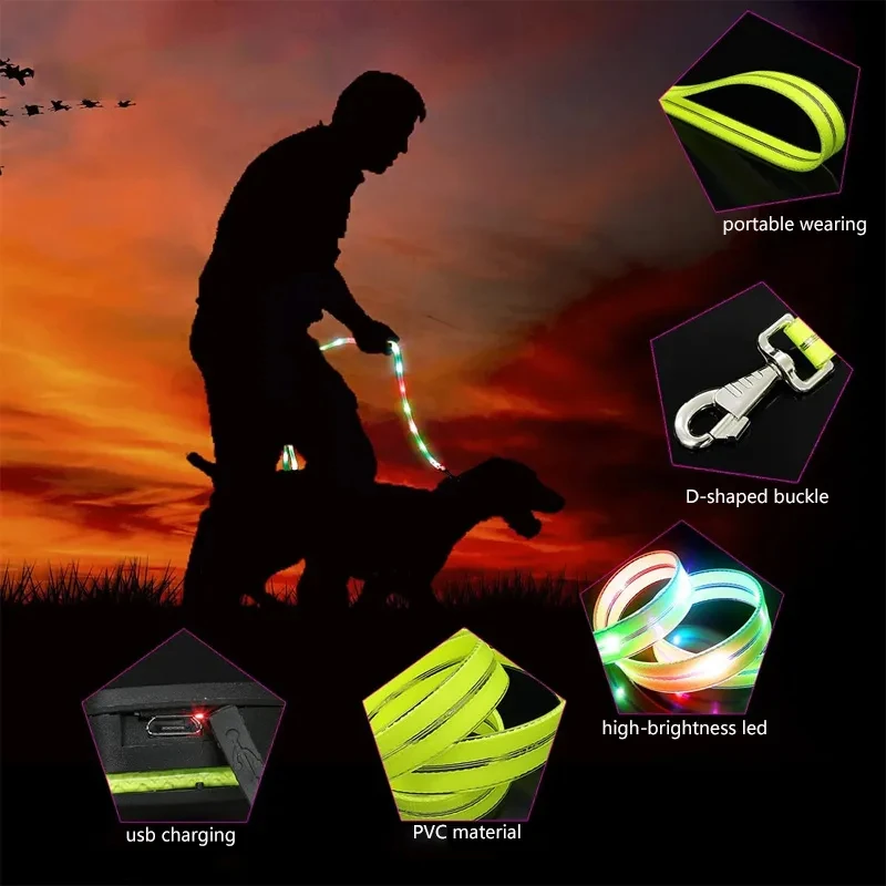 Led Light Up Dog Leash Walking Safety Glow in The Dark USB Rechargeable Adjustable Dog Leash Dog Collar Pet Collar Large Medium Small Pet