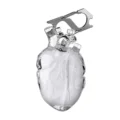 Transparent