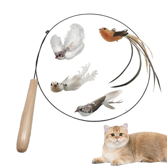 Cat Fishing Pole Toy Interactive Bird Simulation Cat Toy Set Cat Toys Cat  Teaser Toy Hangings Door Self-Play Cat Toy For Cat - AliExpress