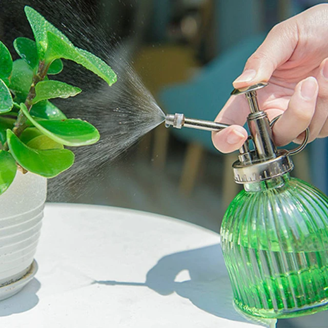 Maceta de riego para plantas y flores, pulverizador de botella con  pulverizador, hervidor de suculentas para jardín, suministros de  herramientas pequeñas de jardín - AliExpress