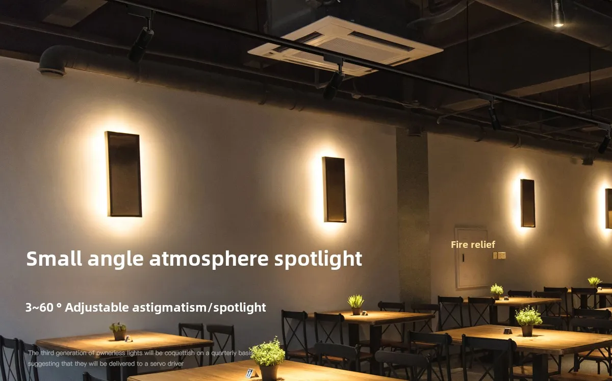 Adjustable Spotlight Image 2