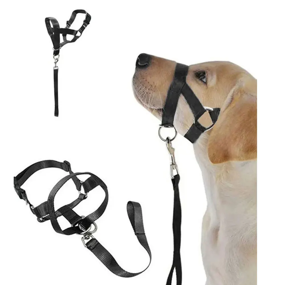 Gentle Leader Dog Leash 1