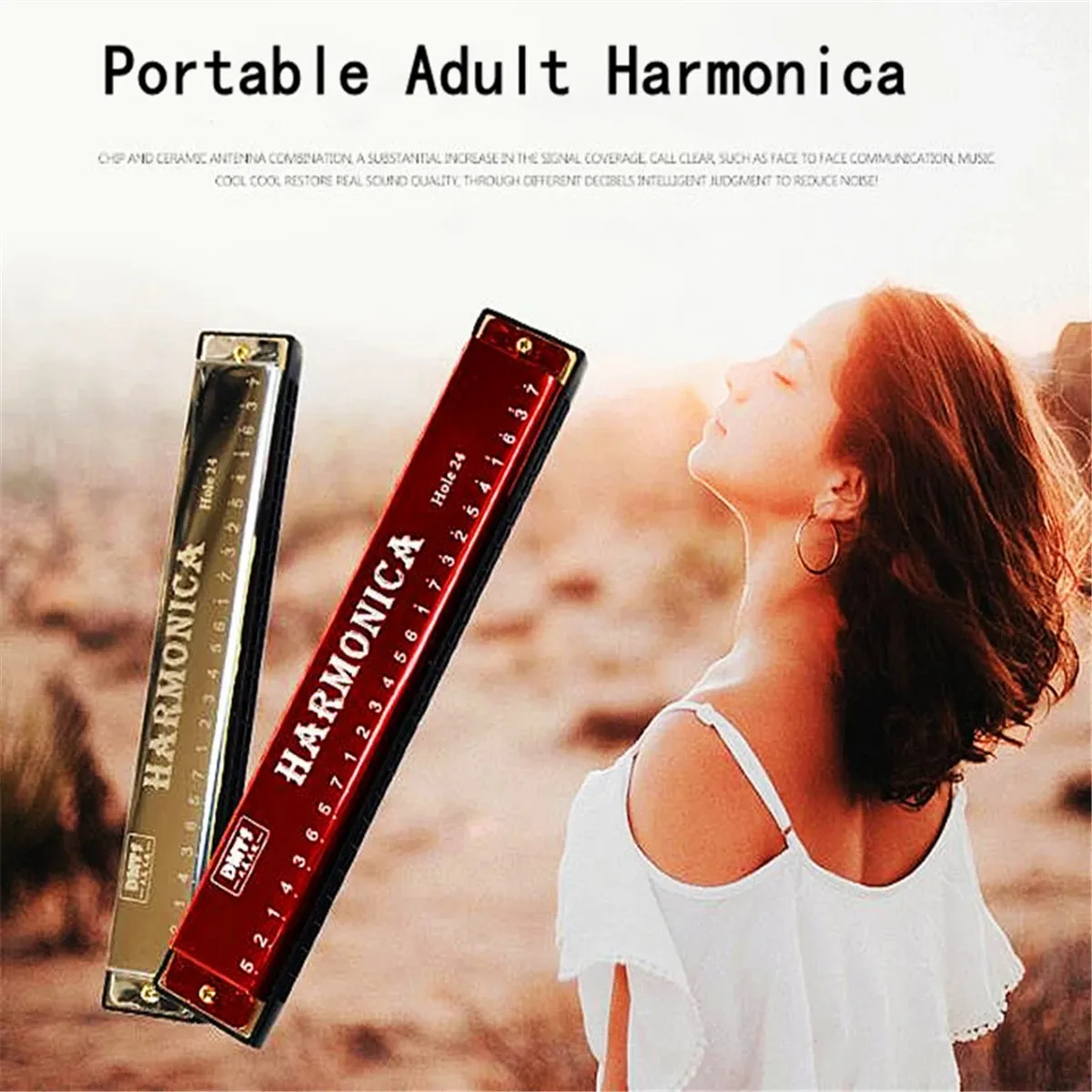 Metal Harmonica 24 Hole Mouth Organ for Beginners with Case