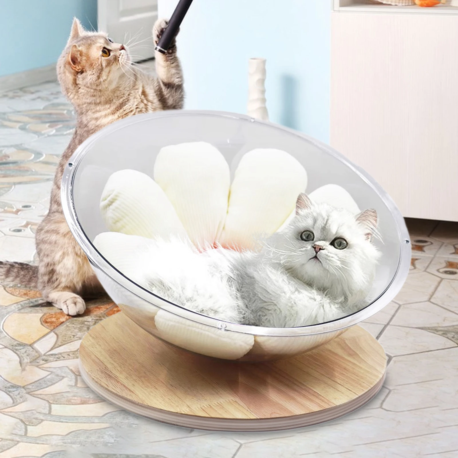 Cama Transparente De Acrílico Para Gatos - Cúpula Espacial Para Dormir Y Jugar