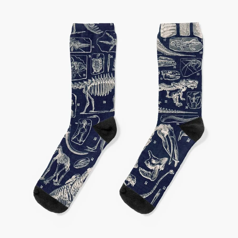 

Adolphe Millot - Paleontologie (paleontology)- vintage french poster Socks Sports socks floral socks hiking Mens Socks Women's