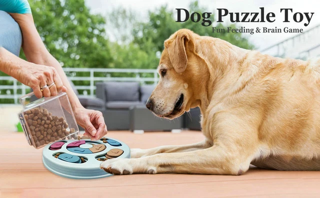 LEEDOAR New Style Dog Treat Puzzle Toys Interactive Treat Food Dispenser  Robot Wheel Slow Feeder Toys for Small Medium Dogs Play - AliExpress