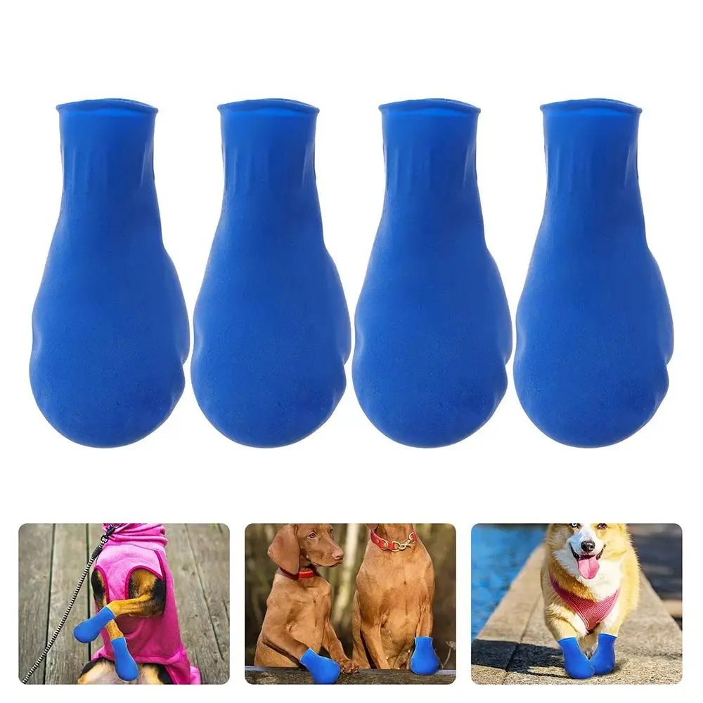 Slide image 57b66d25579b4529a15369354e9a68d7