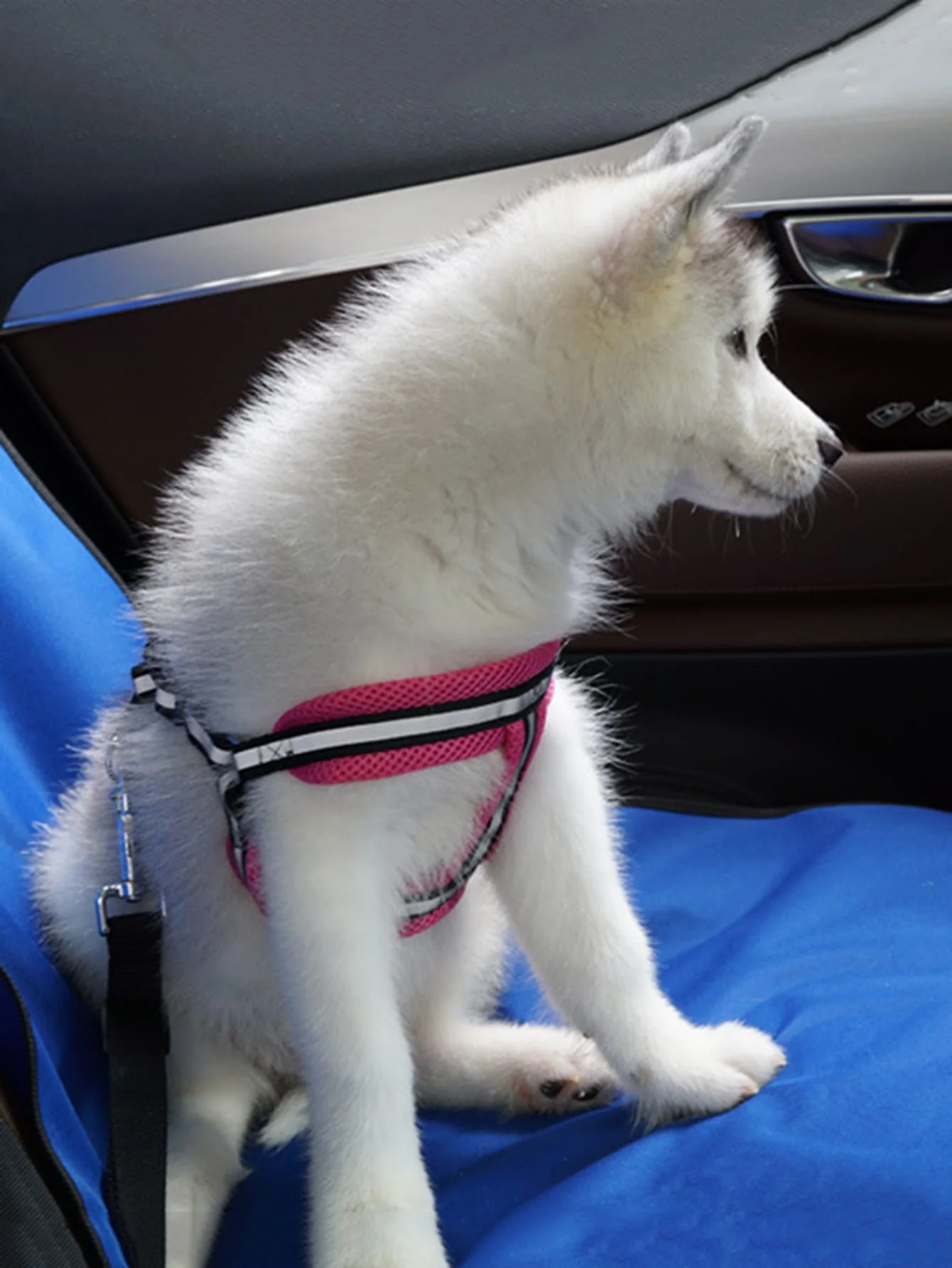 1pc-Pet Car Seat Cushion Anti-Fouling Pad