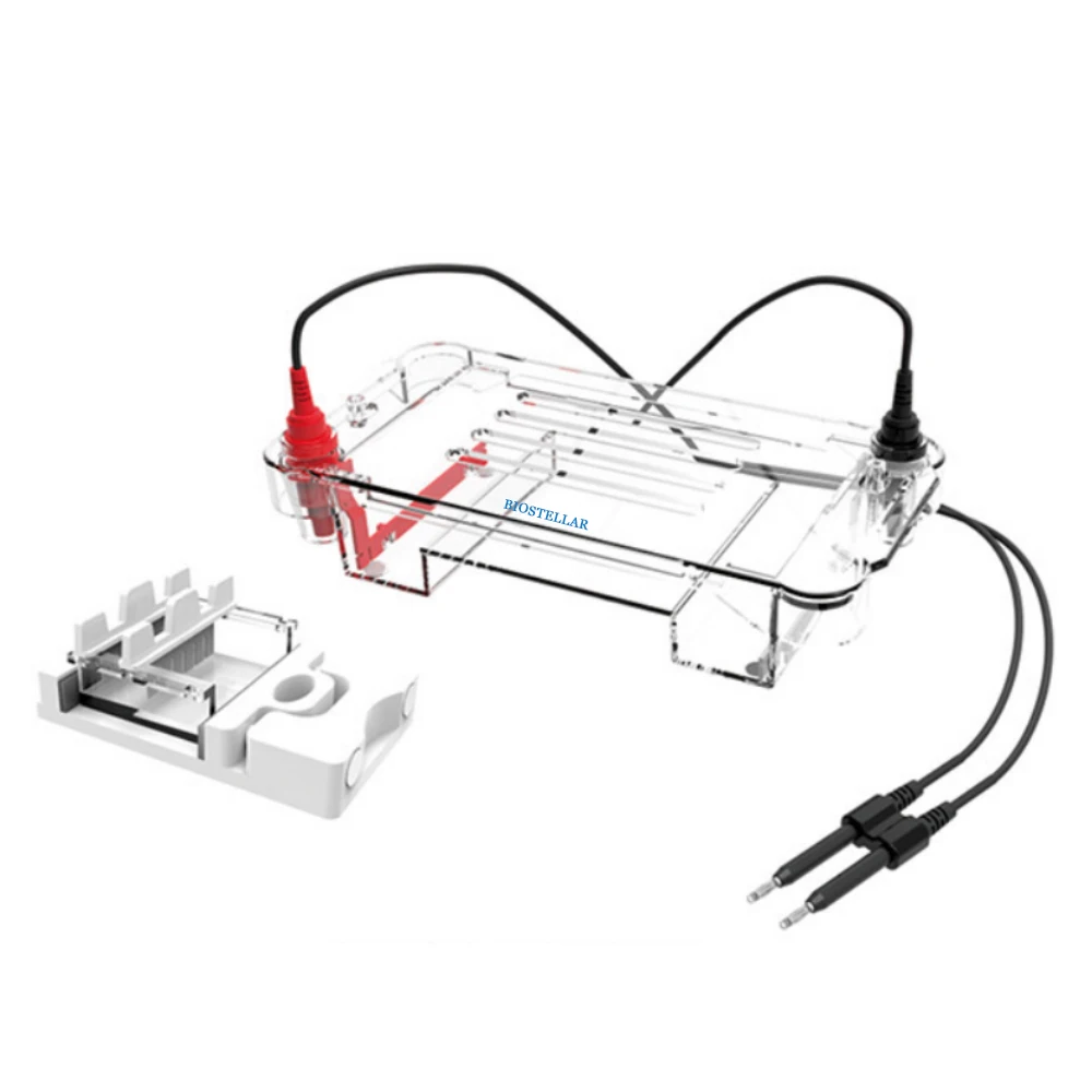 

BIOSTELLAR Biochemical Diseased Cells Cells Cellulose Acetate Membrane Horizontal Electrophoresis Tank