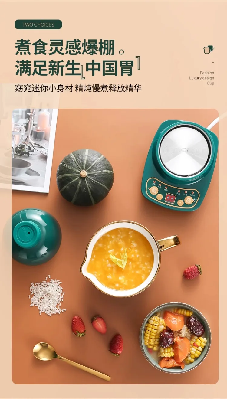Description Picture 4 of item110V/220V Electric Kettle Ceramic Tea Warmer Health Care Overheat Protection for Japan USA Canada AG