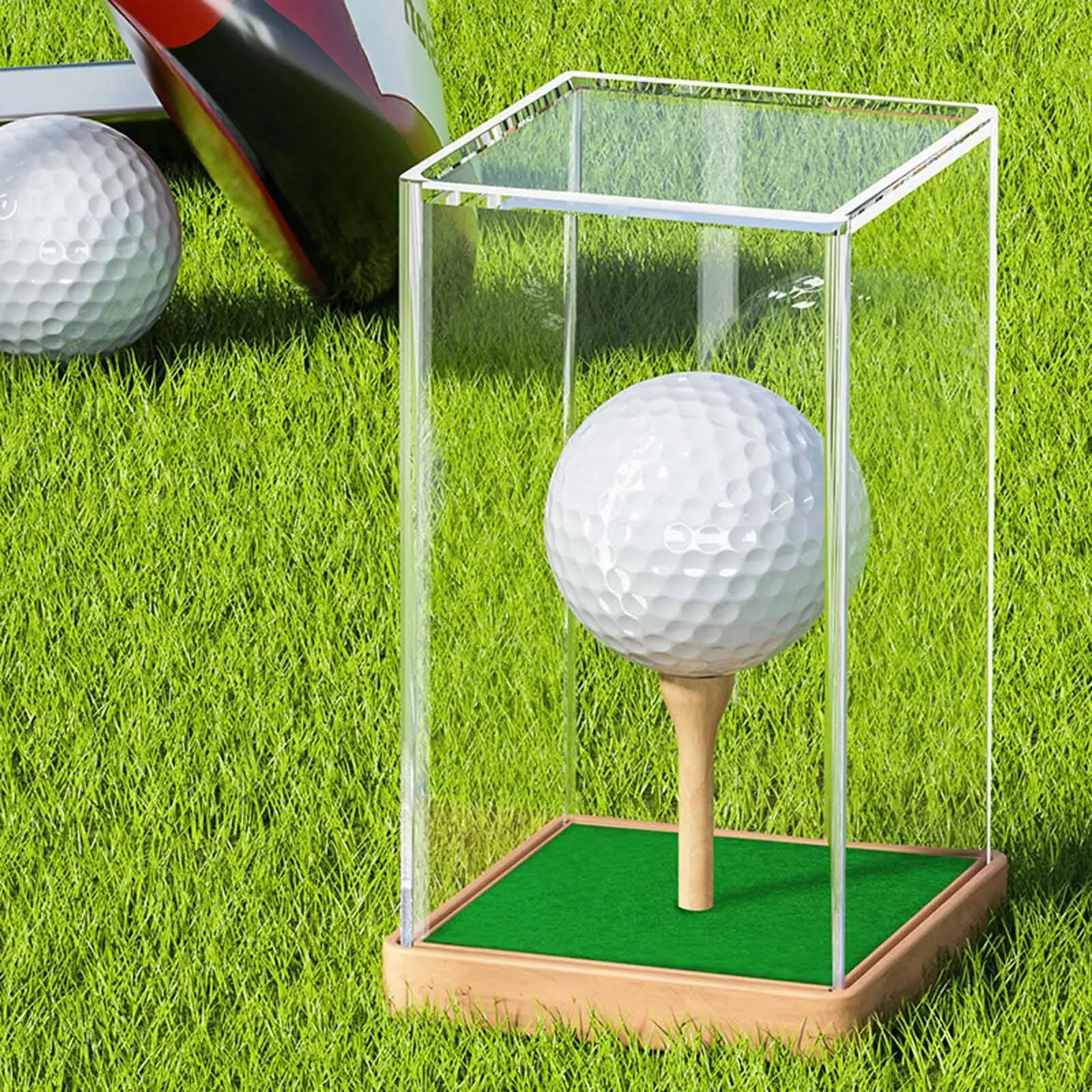 Golf Ball Display Box Multiuse Storage Box for Earphone Small Toys Baseball