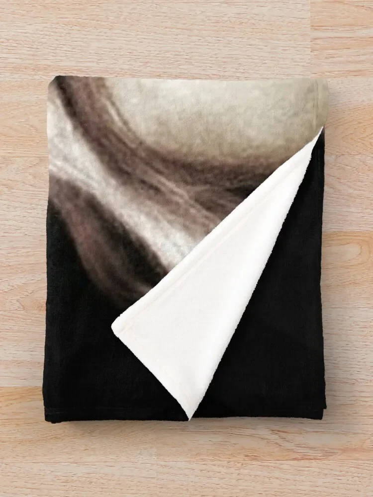 Dalida �̱� ���� ���, ���ſ� ���ο� ���