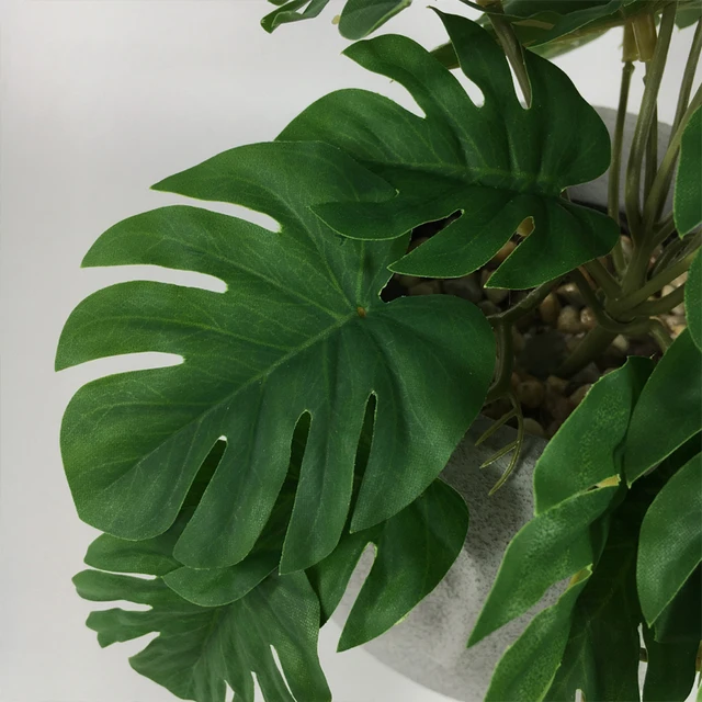 26 Cm -Es Zöld Fű Cserepes Mesterséges Növények Szőlő Páva Teknős Hátsó Levél Begonia Fal Lógó Kapor - Image 6