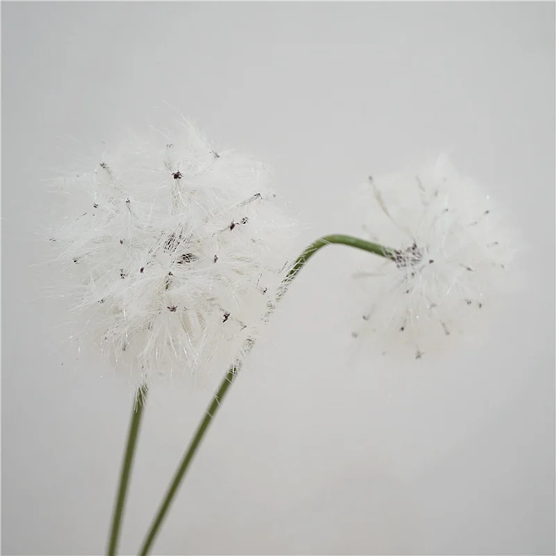     ε鷹  ÷  Ŀ , DIY  Ƽ Ȩ  ׼