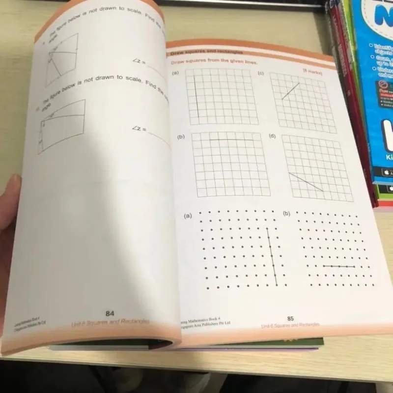 Singapore Math Workbook Set 5