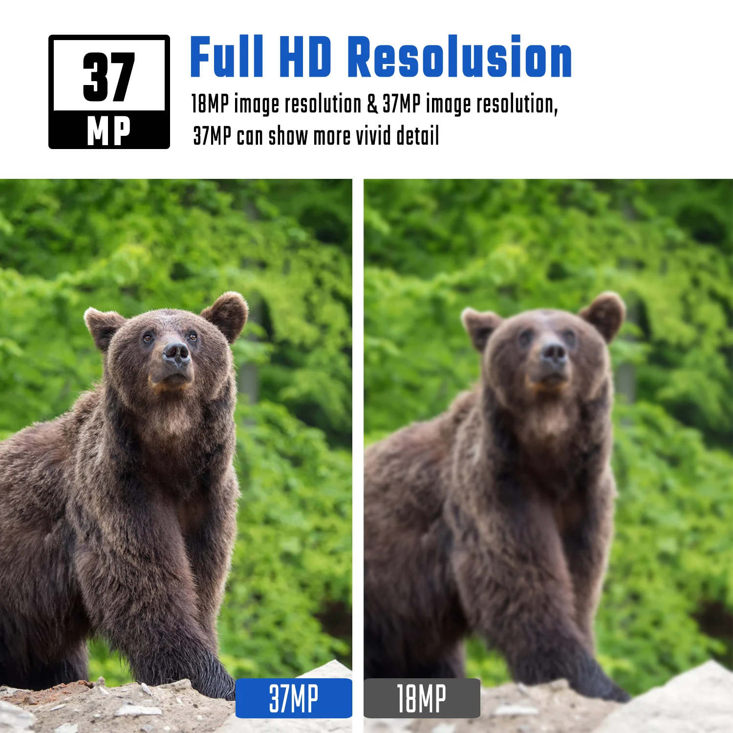 Boly BG410-MS 940nm Black IR Dual Flash 4G Wireless Hunting Camera Invisible Game Trail Camera with Motion Sharp Technology