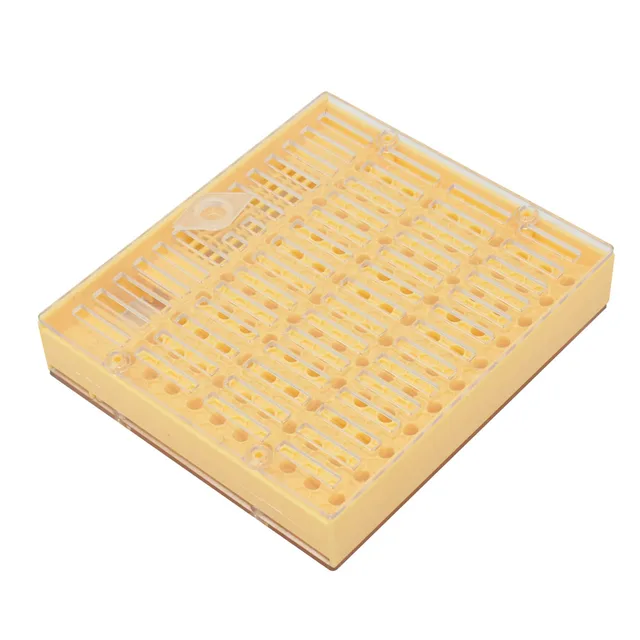 1 Pc -K Méhészeti Berendezések Szerszámok Nevelése Queen Bee Műanyag Doboz Ketrec Profi Méhész Apikultúra Szállítója - Image 6