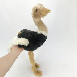 Muñeco de peluche de Animal de simulación de avestruz, juguete de Zoo, regalo de pájaro personalizado