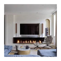 610mm Customized App Control Ethanol Fireplace Smart Fireplace Insert Indoor Burning Fireplace 1