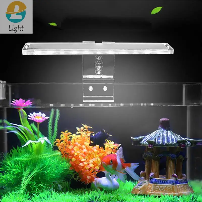 Lampe d'aquarium à spectre complet, petite lampe clip pour aquarium à  poissons avec 2 LED bleues 10 blanches, luminosité 5W, épaisseur 3 - 5mm  (noir)