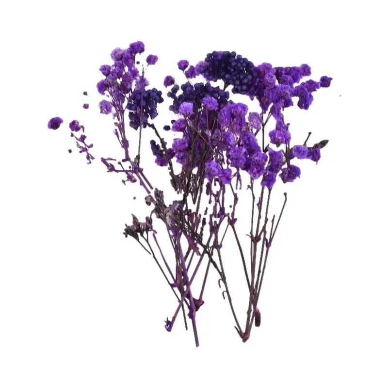 

Colorful Dried Flowers Dry Floral Bouquet Crafting Supplies For Scented Candles Make Crafting Supplies For Scented Scrapbook