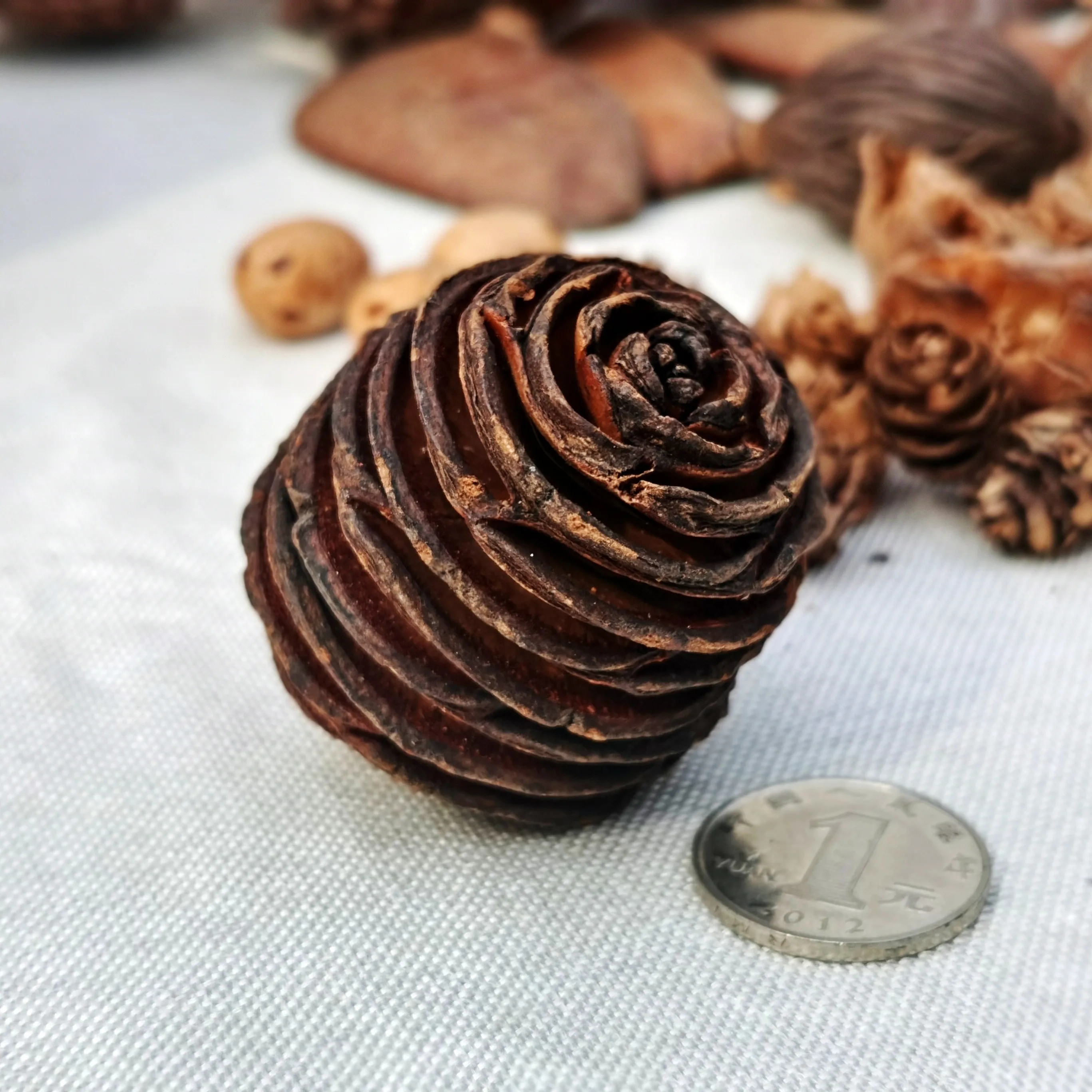 l Dried Flowers And Fruits Decorative DIY Handmade Cisas Scenic Spot ential Oil l Material ell Cone