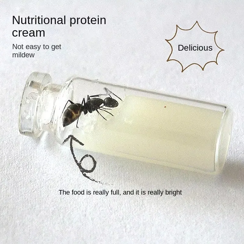 Ant protein paste
