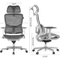 E2 Ergonomic Office Chair, 6-Way Dynamic Lumbar Support, 3D Adjustable Armrests, 3D Adjustable Headrest, Office Chair 2