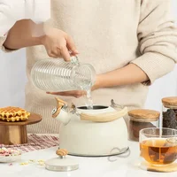 Bouilloire électrique à gaz touristique de 2,5 l avec sifflet, appareil de cuisine en acier inoxydable, théière de Camping, ustensiles de cuisine, ensemble de cuisine 2
