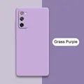 Grass Purple