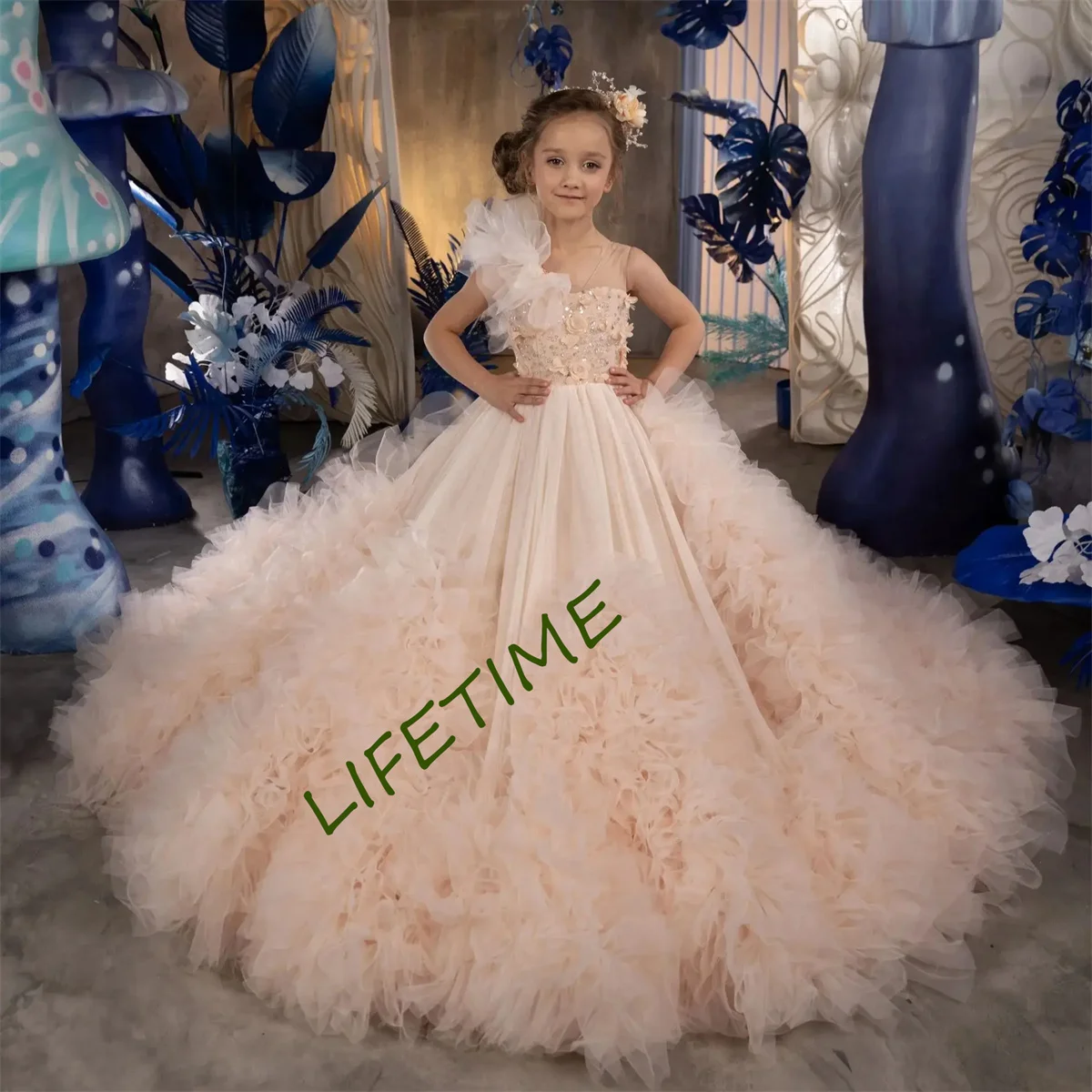  ũ ö  ǽ, ǫ ر ø, Ƽ μҸ,   , Ÿ  ǽ