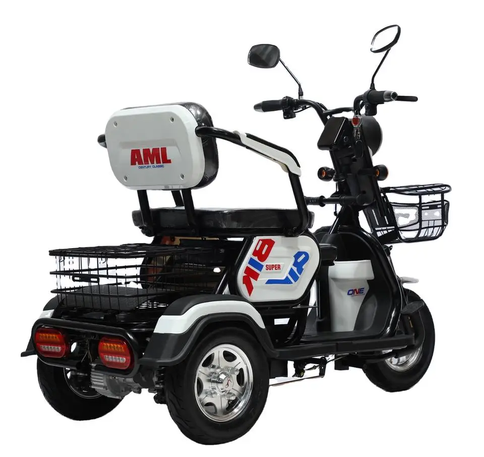 Best price Electric tricycle 650W 500W motor 3 wheel trike for adult passenger and cargo carry with CE