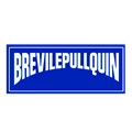 BREVILEPULLQUIN Store