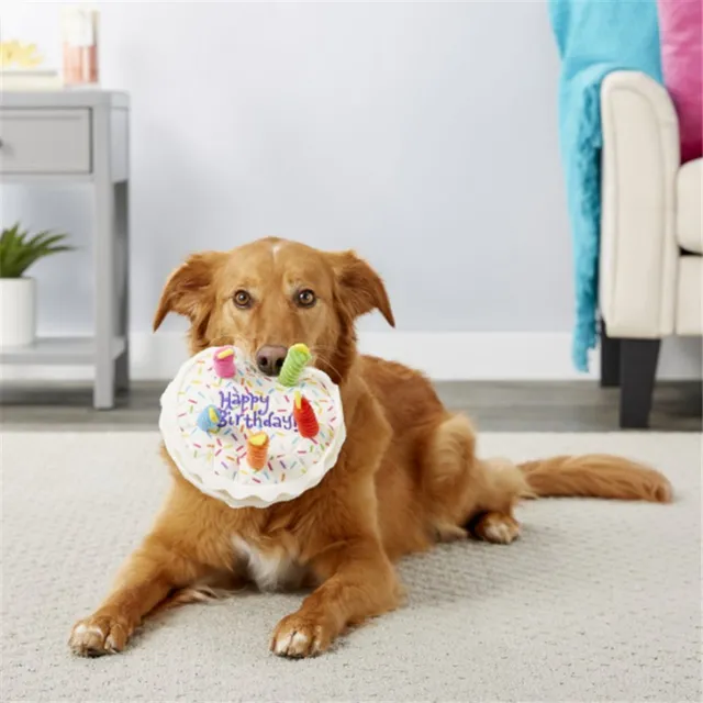 Pet Dog Toy Cute Birthday Cake Squeaky Toys Bite Resistant Bone Shape Stuffed Toy Cat Puppy Chew Toy Interactive Dog Accessories 5