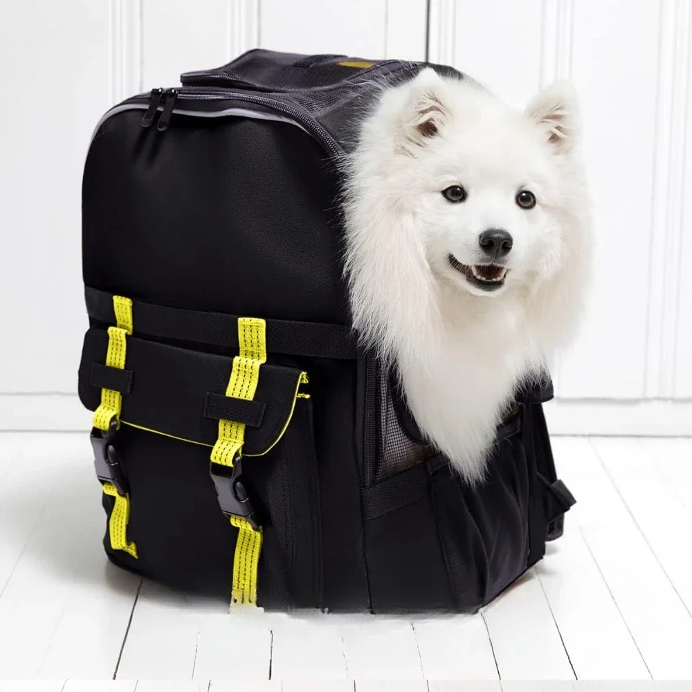 

Pet backpacks include laptop storage and can accommodate pets under 25 pounds with free shipping