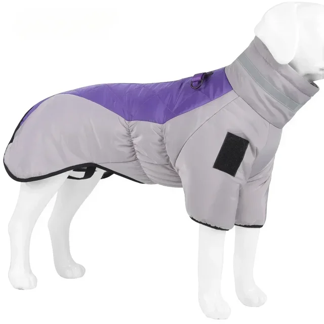 gray-purple