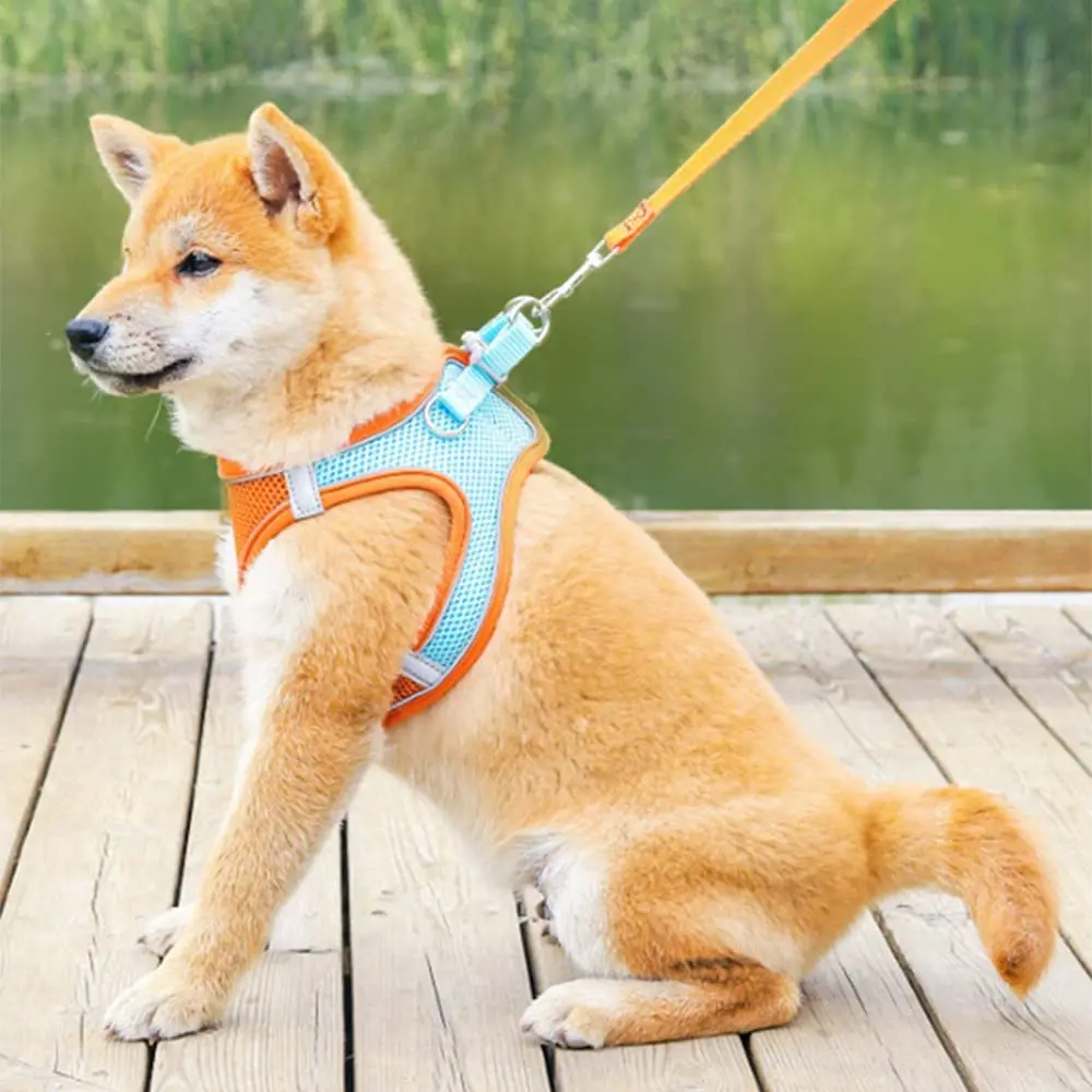 Pet Dog Harness and Leash Set Reflective Breathable Adjustable Comfort Puppy Harness Outdoors Travel Pet Supplies