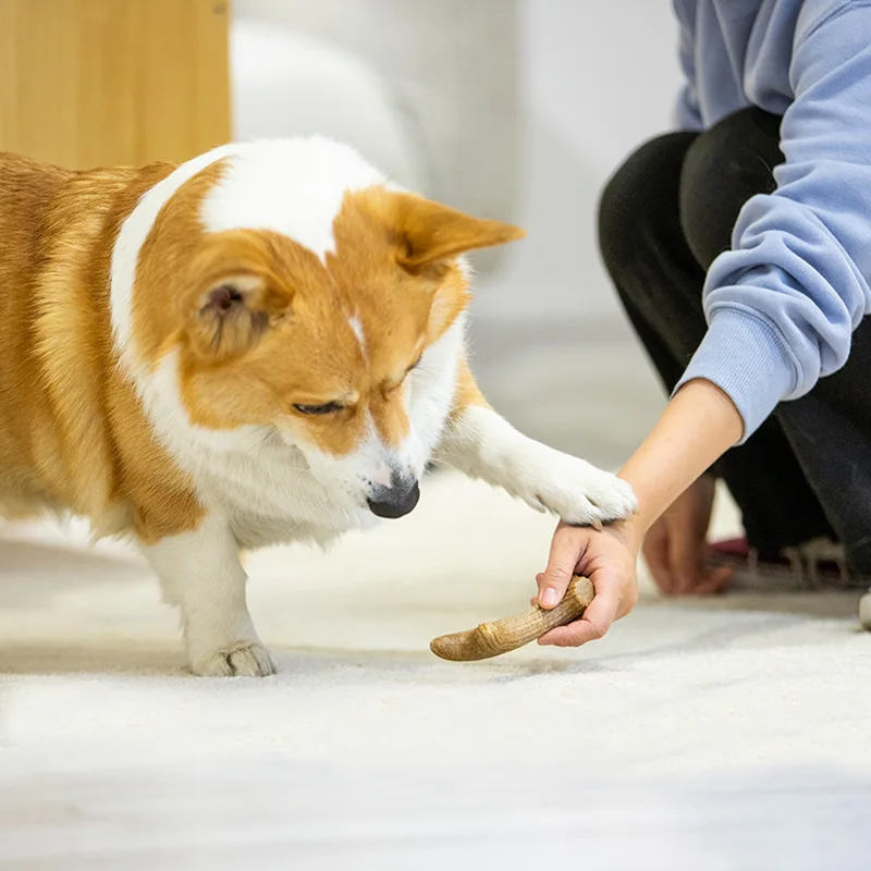 eal Wooden Deer Antlers Dog Chew Toys for Aggressive Chewers Large Dog Chewing Stick Indestructible Tough Durable Pet Toys Gift