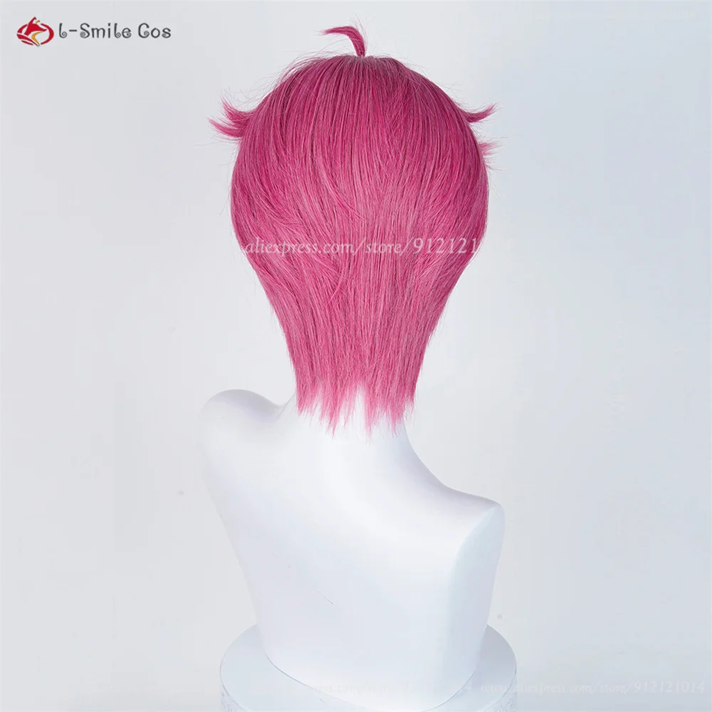 Anime Cosplay Wig Image 26