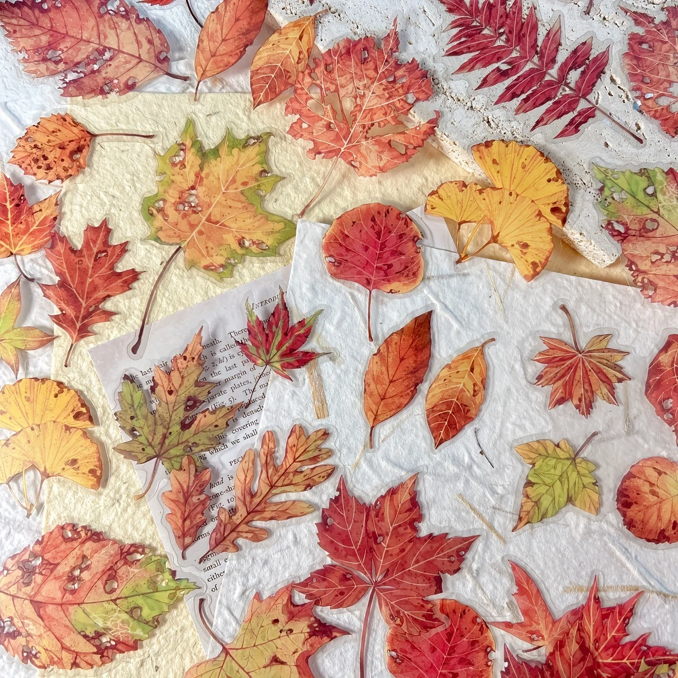 40 Blatt Herbstblatt Pilz Thema Aufkleber Pack Journal Diy Scrapbooking Zubehör Tagebuch Album Ästhetische Briefpapier Aufkleber