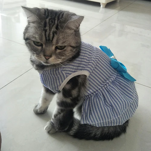 고양이 강아지 공주 드레스, 줄무늬 격자 무늬 드레스, 리본, 고양이 고양이 토끼 스핑크스 의류, 여름 애완 동물 의류 4
