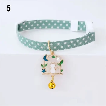 Collars & Leashes