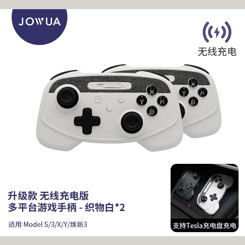 Tesla対応 ゲームコントローラー テスラで使うゲームコントローラー！ - ELECTRICLIFE