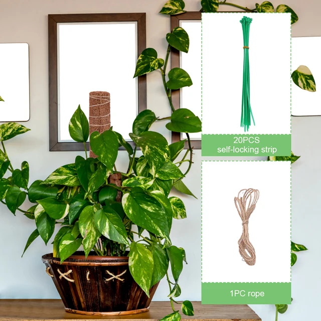 2Pcs Coir Totem Beltéri Sokoldalú, Kiterjeszthető Mohaoszlopok Növénytámogató Kúszónövények Kókuszdeszár Önzáró Csík Zsinegkészlet - Image 5