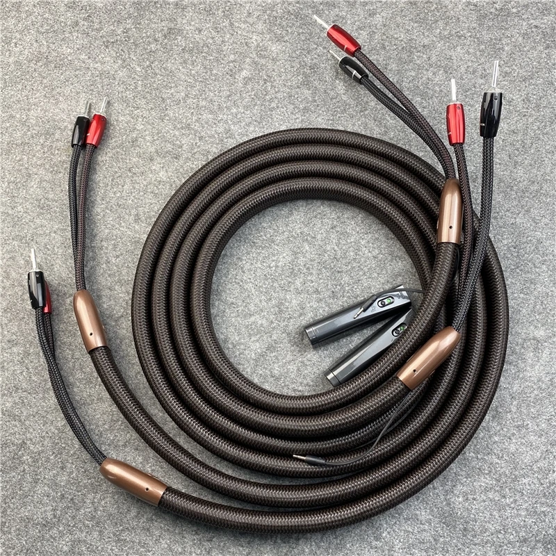 Audiophiler ũ Ŀ ̺ ǹ  ٳ ̵ ÷ PSC HiFi  