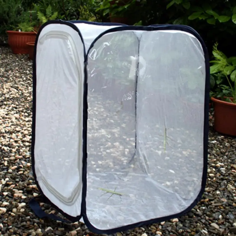 Gabbia Pieghevole Per Insetti E Farfalle – 40x40x60 Cm, Maglia Fine, Finestra Trasparente, Anti-pop-up