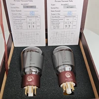 PSVANE ART 6SN7 Vacuum Tube HIFI Audio Valve Upgrade 6SN7 CV181 6N8P 6H8C 6SN7GT 5692 Electron Tube Amplifier Kit Diy Matched 2