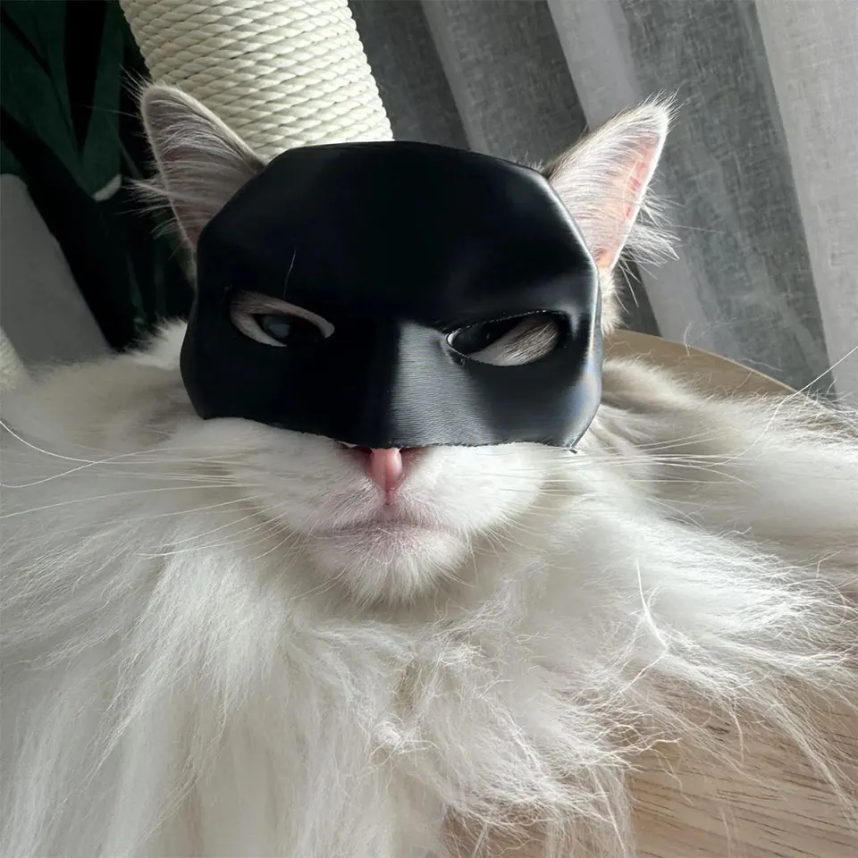 a cat in batman costume Prompts | Stable Diffusion Online, image size:960x960