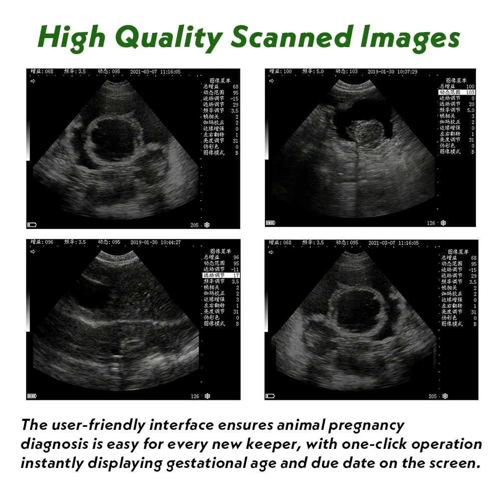 Veterinary Ultrasound Scanner 3.5MHz Convex Probe Vet Pregnancy Ultra Machine fo
