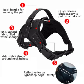 Harnais Réflechissant en Nylon pour Chiens - Sécurité et Style - 2025 - Doglovedesign : Vêtement et accessoires pour chiens Harnais Réflechissant en Nylon pour Chiens - Sécurité et Style - 2025 - Doglovedesign : Vêtement et accessoires pour chiens